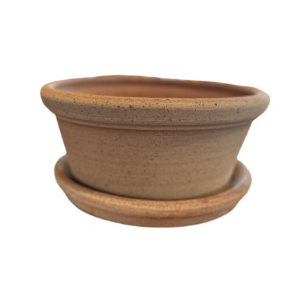 Short Terra Cotta Pot With Saucer