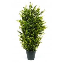 Artificial Boxwood